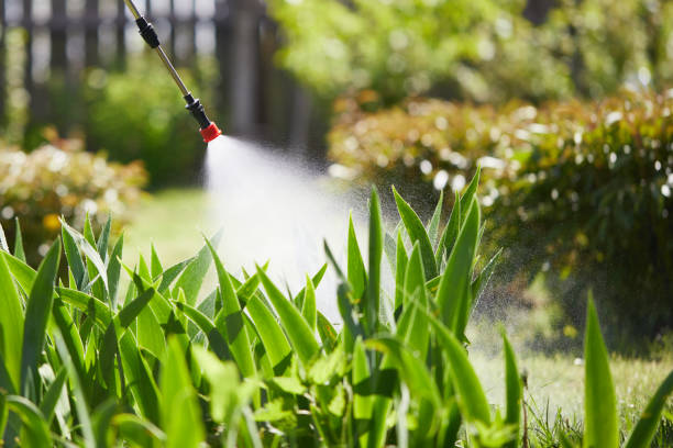 24/7 Emergency Fumigation Services experts in Huntland, TN